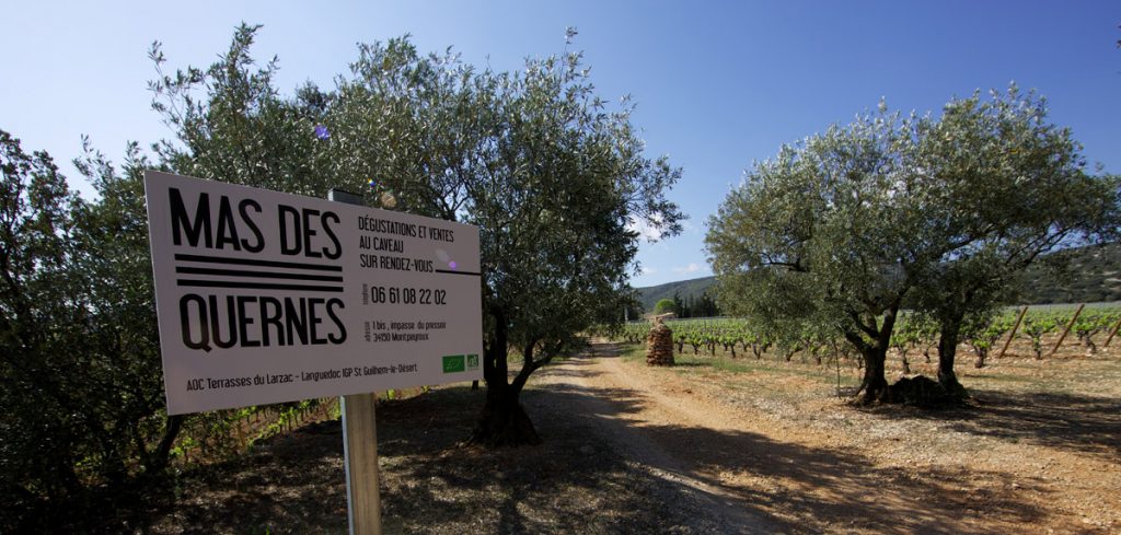 bild der Einfahrt zu Mas des Quernes im Languedoc in Südfrankreich