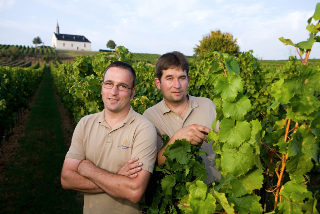 Ein Bild von Andreas und Stefan Hemer im Weinberg