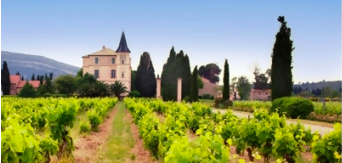 Das Chateau La Baronne und einige davor liegende Weinberge