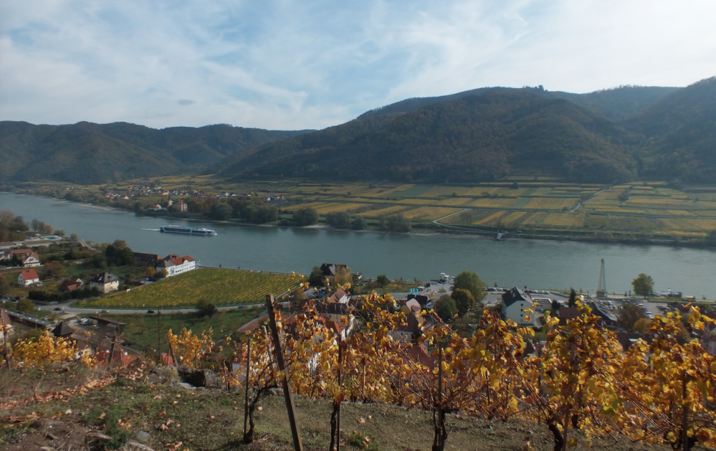 Grüner, Grüner, Grüner Veltliner an der Wachau