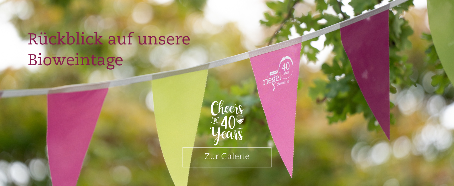 B2C slider Rückblick