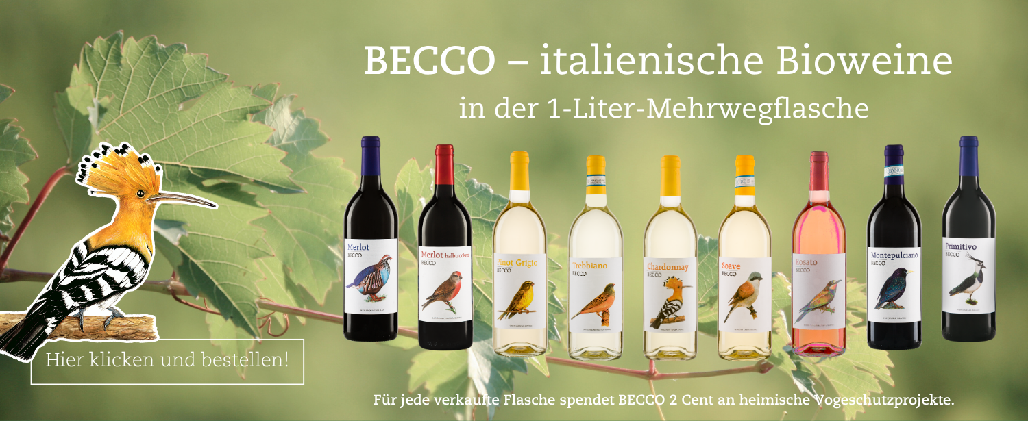 B2C Slider Becco