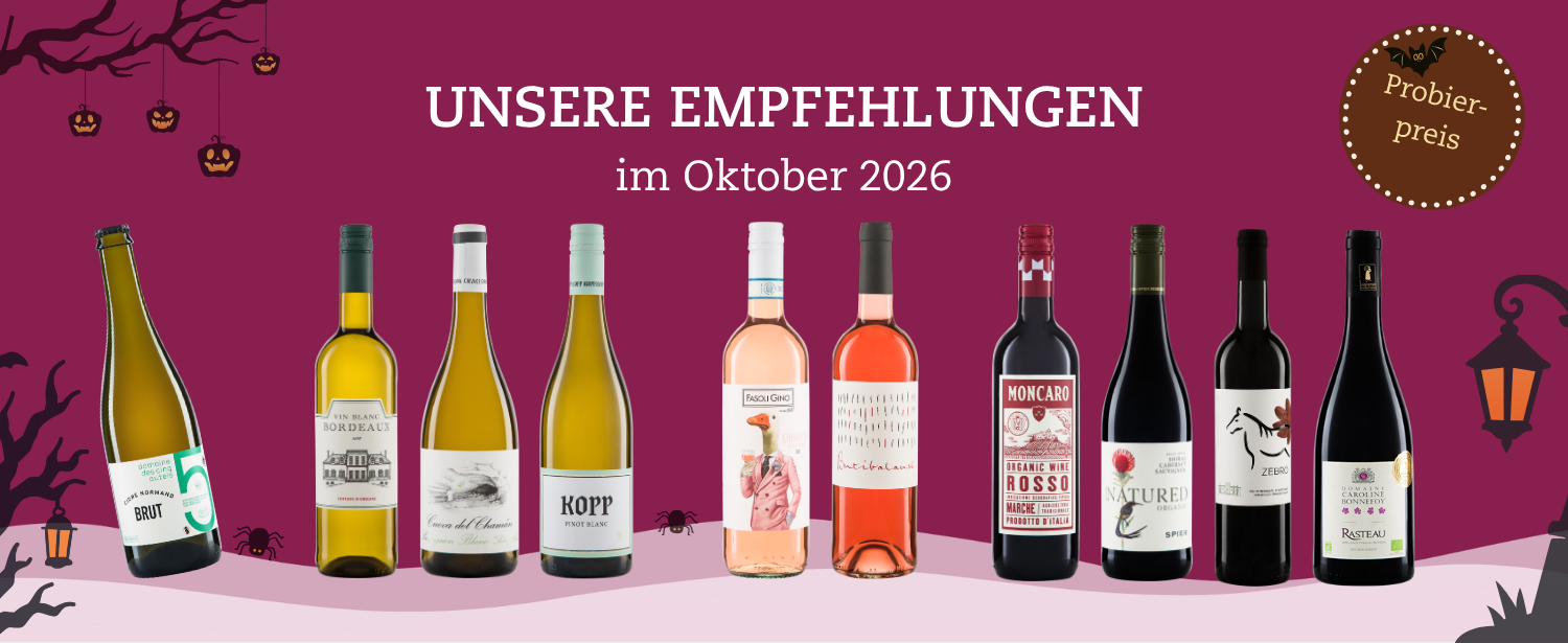 B2C Shopslider Monatsangebot Oktober